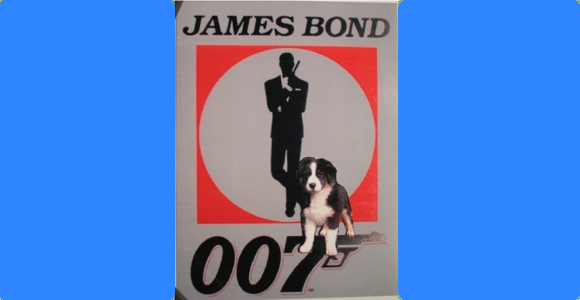 bond 1115 580 1
