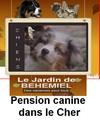 behemiel-banniere